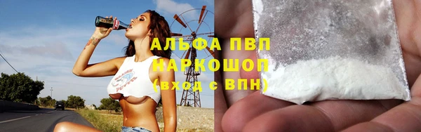 PSILOCYBIN Белокуриха