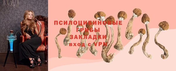 PSILOCYBIN Белокуриха