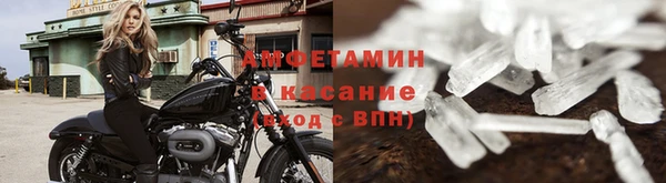 PSILOCYBIN Белокуриха