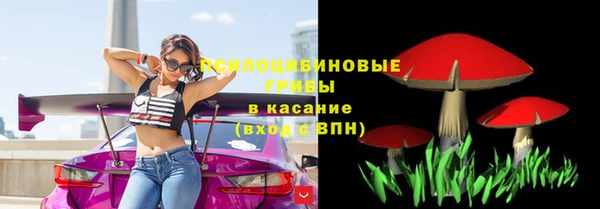 ГАЛЛЮЦИНОГЕННЫЕ ГРИБЫ Белоозёрский