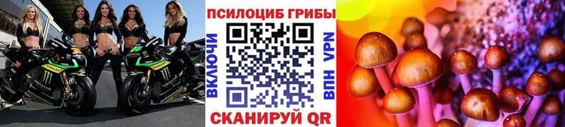 цена   Армавир  Псилоцибиновые грибы Magic Shrooms 