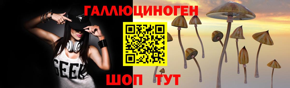 Галлюциногенные грибы Psilocybine cubensis Армавир